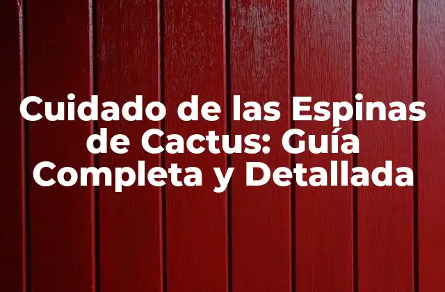 Cuidado de las Espinas de Cactus: Guía Completa y Detallada