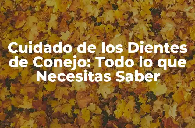 Cuidado de los Dientes de Conejo: Todo Lo que Necesitas Saber