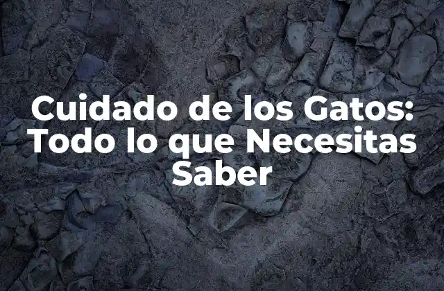 Cuidado de los Gatos: Todo Lo que Necesitas Saber 2 Alimentación para Gatos: Qué Comer y Qué Evitar