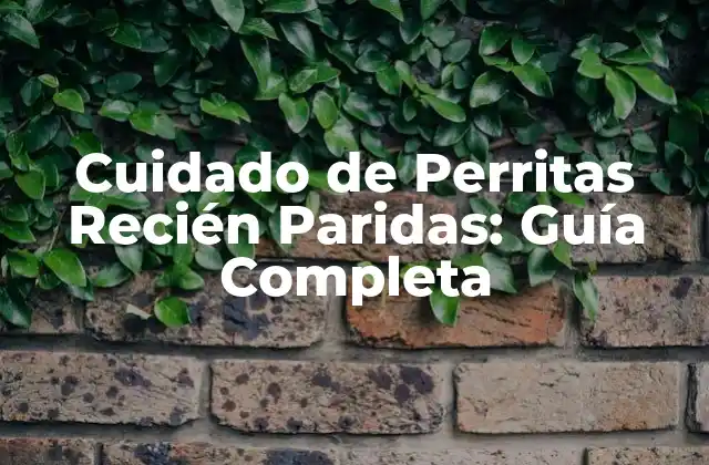 Preparación para el Parto: Qué Debes Saber