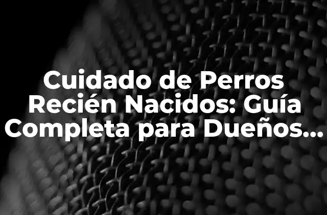 Cuidado de Perros Recién Nacidos: Guía Completa para Dueños de Mascotas