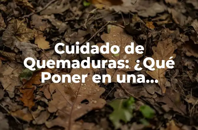 Cuidado de Quemaduras: ¿qué Poner en una Quemadura para Aliviar el Dolor y Acelerar la Recuperación?