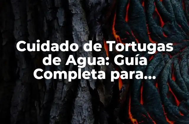 Cuidado de Tortugas de Agua: Guía Completa para Propietarios de Tortugas Acuáticas