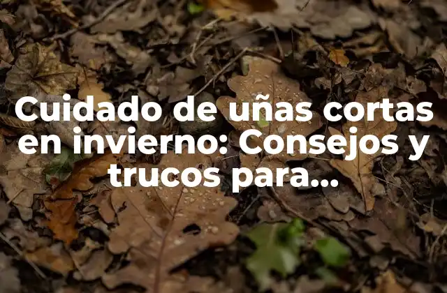 Cuidado de Uñas Cortas en Invierno: Consejos y Trucos para Mantenerlas Saludables