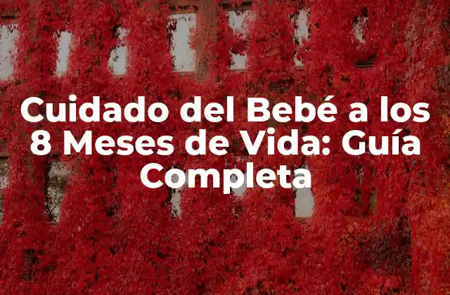 Cuidado Del Bebé a los 8 Meses de Vida: Guía Completa