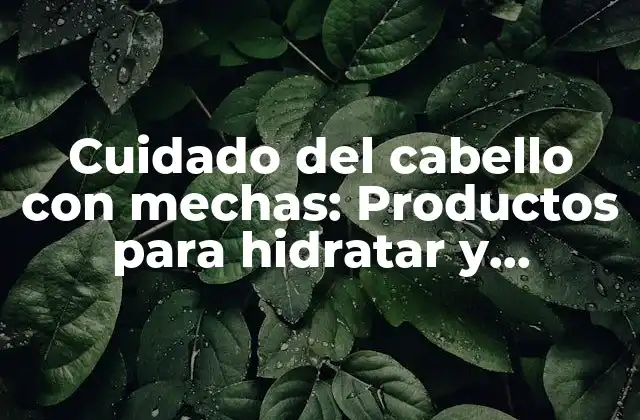 Cuidado Del Cabello con Mechas: Productos para Hidratar y Mantener la Salud de Tu Cabello Teñido