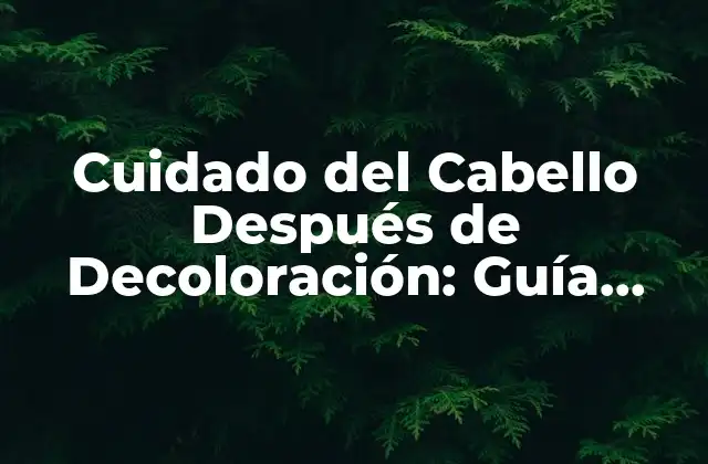 Cuidado Del Cabello Después de Decoloración: Guía Completa