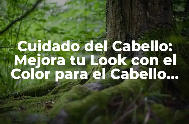 Cuidado Del Cabello: Mejora Tu Look con el Color para el Cabello Perfecto