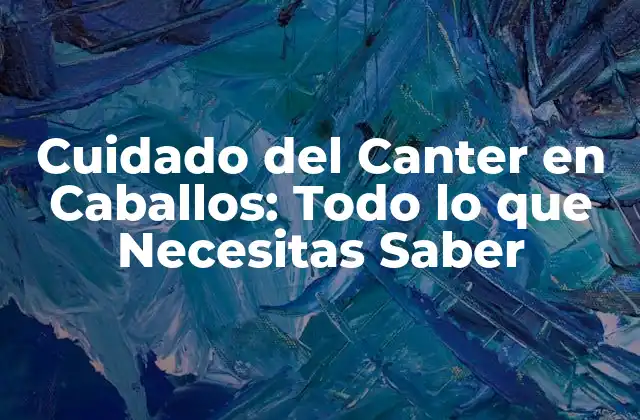 Cuidado Del Canter en Caballos: Todo Lo que Necesitas Saber