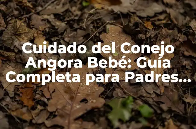 Cuidado Del Conejo Angora Bebé: Guía Completa para Padres Primerizos