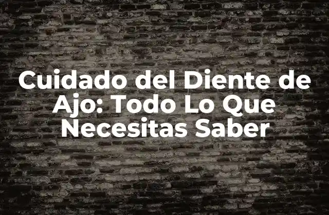 ¿Cuál es el Mejor Tipo de Diente de Ajo para Comprar?