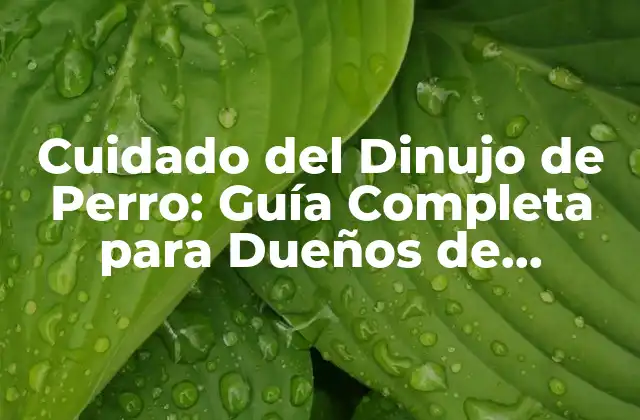 ¿Qué es el Dinujo de Perro?