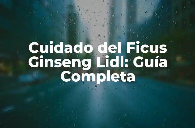 ¿Cómo Cuidar el Suelo del Ficus Ginseng Lidl?
