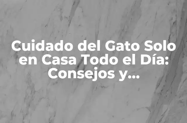 Cuidado Del Gato Solo en Casa Todo el Día: Consejos y Recomendaciones