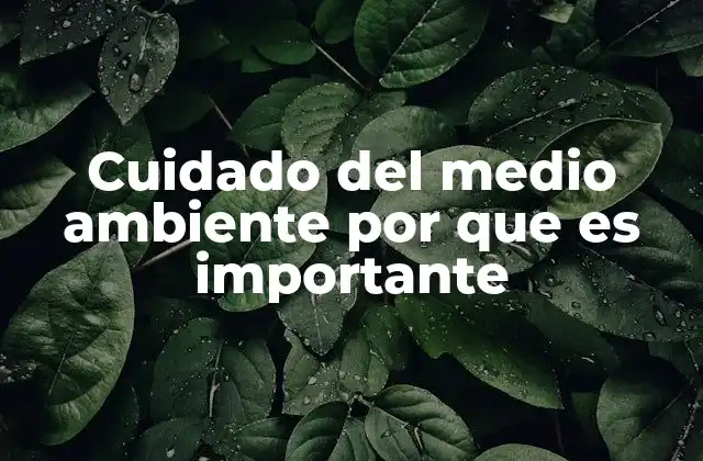 Cuidado Del Medio Ambiente por que es Importante