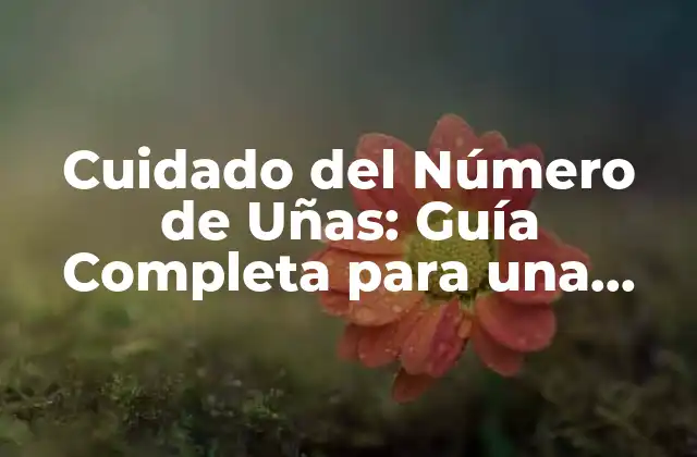 Cuidado Del Número de Uñas: Guía Completa para una Salud Integral