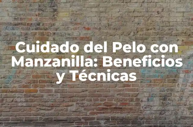 Cuidado Del Pelo con Manzanilla: Beneficios y Técnicas 2 ¿Qué es la Manzanilla y Cómo Funciona en el Cuidado del Pelo?