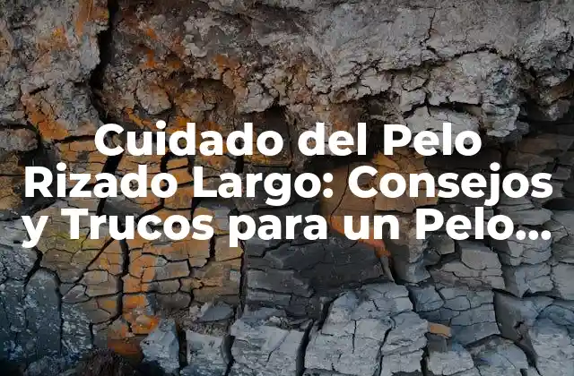 Cuidado Del Pelo Rizado Largo: Consejos y Trucos para un Pelo Saludable