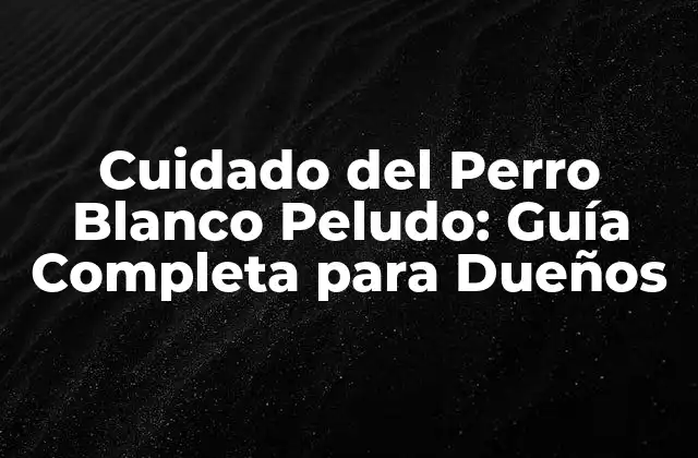 Cuidado Del Perro Blanco Peludo: Guía Completa para Dueños