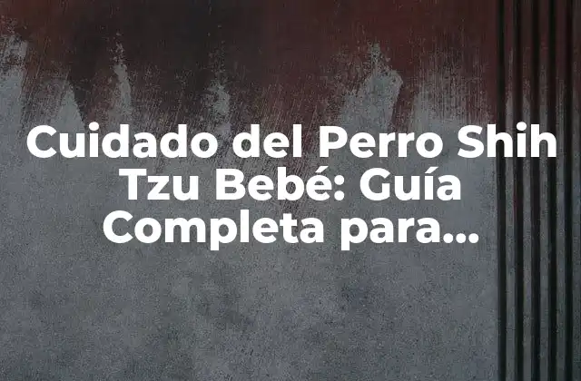 Cuidado Del Perro Shih Tzu Bebé: Guía Completa para Propietarios de Perros