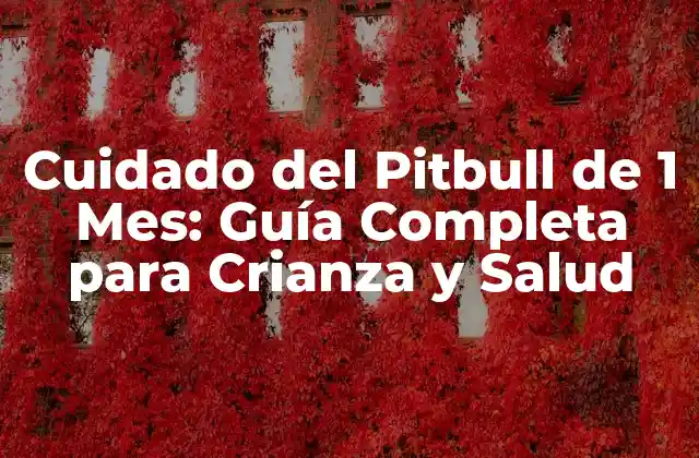 Cuidado Del Pitbull de 1 Mes: Guía Completa para Crianza y Salud