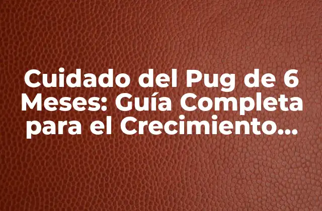 Cuidado Del Pug de 6 Meses: Guía Completa para el Crecimiento Saludable