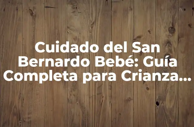 Alimentación del San Bernardo Bebé: ¿Cuál es la Mejor Dieta para mi Mascota?