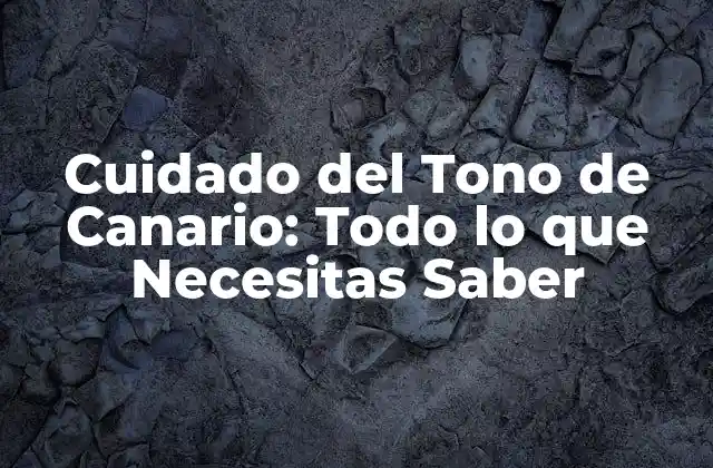 Cuidado Del Tono de Canario: Todo Lo que Necesitas Saber