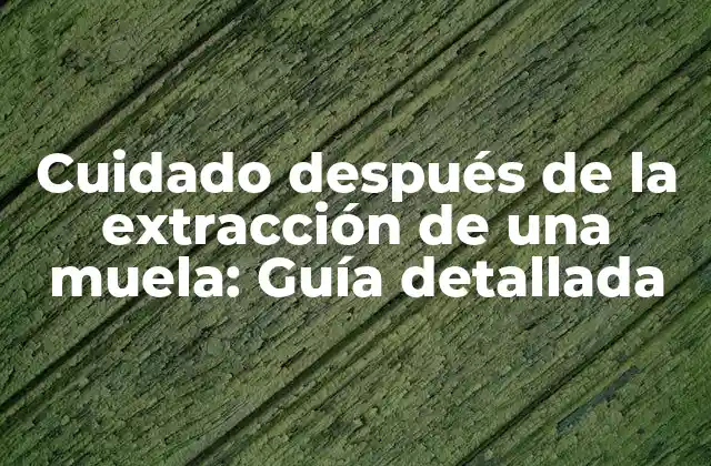 Cuidado Después de la Extracción de una Muela: Guía Detallada 2 ¿Qué debes hacer durante las primeras 24 horas después de la extracción de una muela?