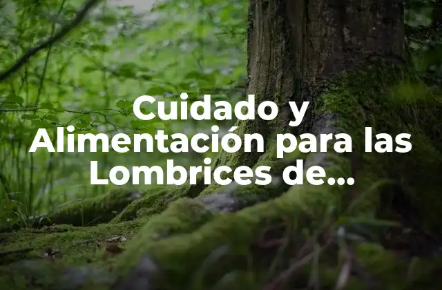 Cuidado y Alimentación para las Lombrices de Composta