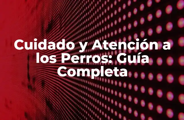 Cuidado y Atención a los Perros: Guía Completa