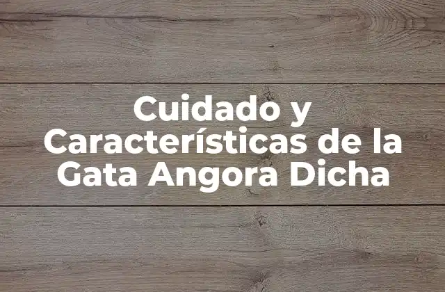Cuidado y Características de la Gata Angora Dicha 2 Orígenes y Historia de la Gata Angora Dicha