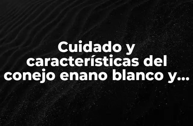 Cuidado y Características Del Conejo Enano Blanco y Negro