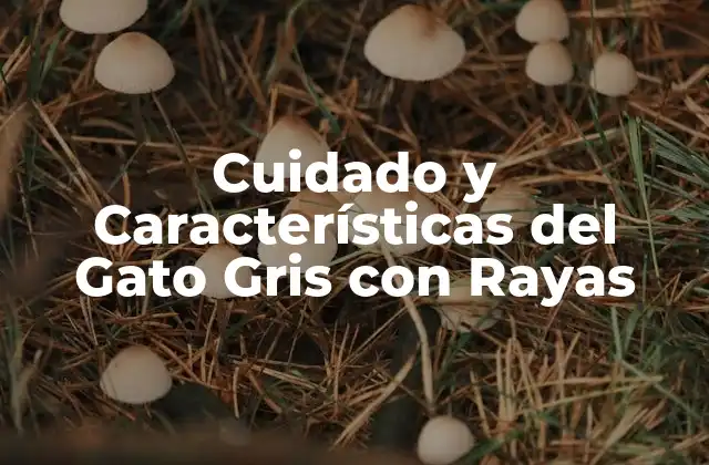 Orígenes y Historia de los Gatos Gris con Rayas