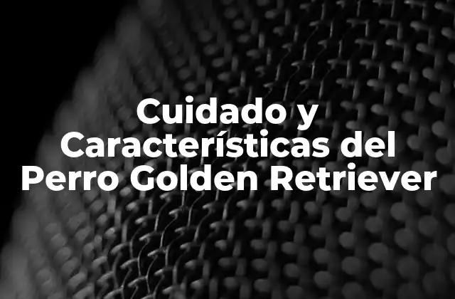 Cuidado y Características Del Perro Golden Retriever 2 Orígenes y Historia del Perro Golden Retriever