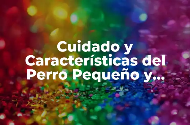 Cuidado y Características Del Perro Pequeño y Blanco