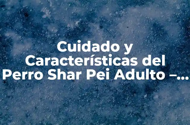 Cuidado y Características Del Perro Shar Pei Adulto – Guía Completa