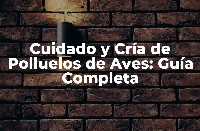 ¿Cuál es la Edad Ideal para Separar a los Polluelos de sus Madres?