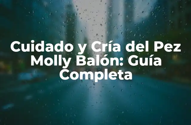 Cuidado y Cría Del Pez Molly Balón: Guía Completa