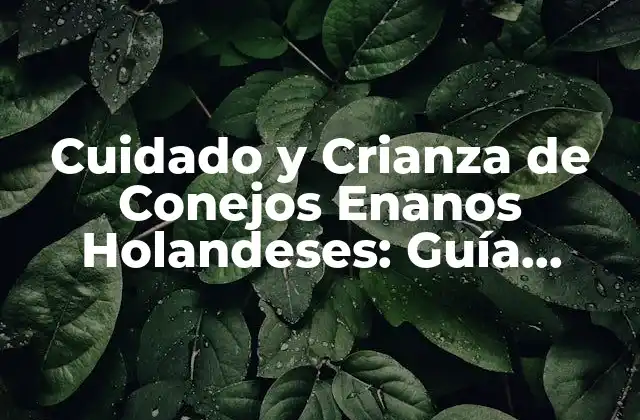 Cuidado y Crianza de Conejos Enanos Holandeses: Guía Completa