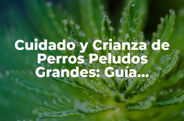 Cuidado y Crianza de Perros Peludos Grandes: Guía Completa