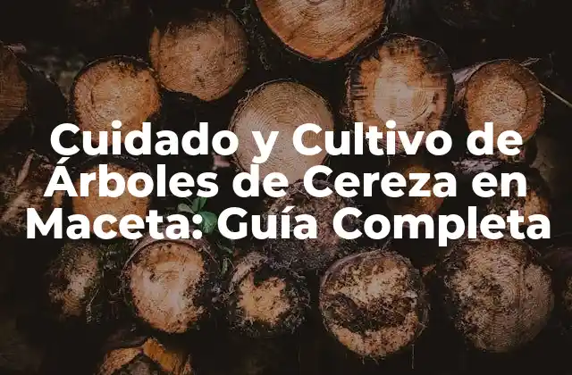 Cuidado y Cultivo de Árboles de Cereza en Maceta: Guía Completa