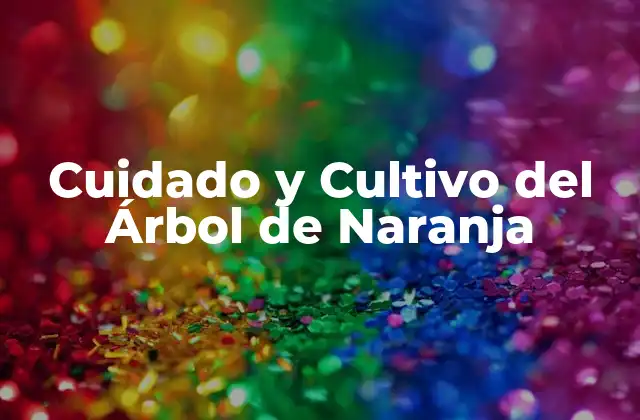 Cuidado y Cultivo Del Árbol de Naranja