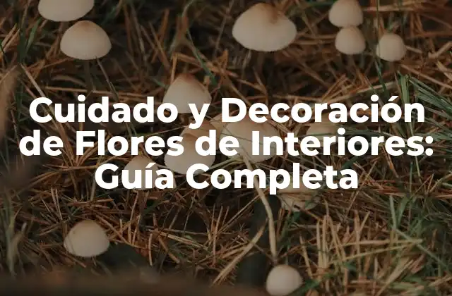 Cuidado y Decoración de Flores de Interiores: Guía Completa