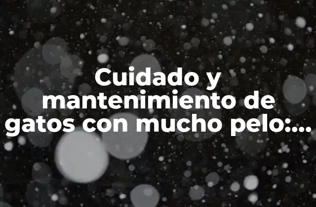 Cuidado y Mantenimiento de Gatos con Mucho Pelo: Guía Completa 2 Características de los gatos con mucho pelo
