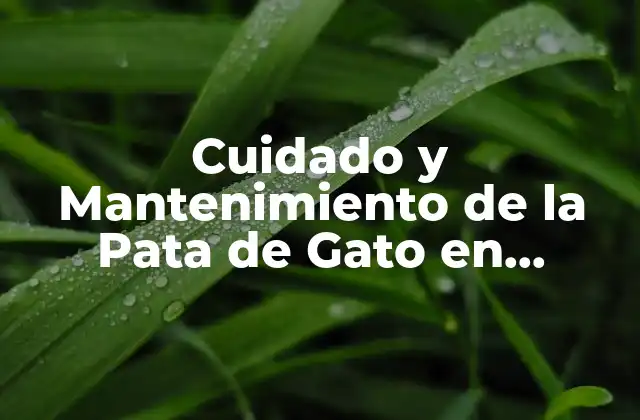 ¿Cuál es el Propósito de la Pata de Gato en Jardinería?