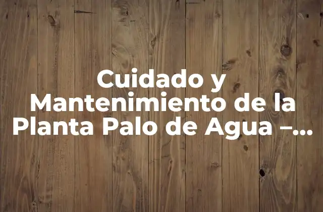 Cuidado y Mantenimiento de la Planta Palo de Agua – Guía Completa