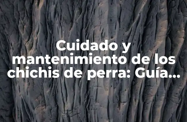 Cuidado y Mantenimiento de los Chichis de Perra: Guía Completa