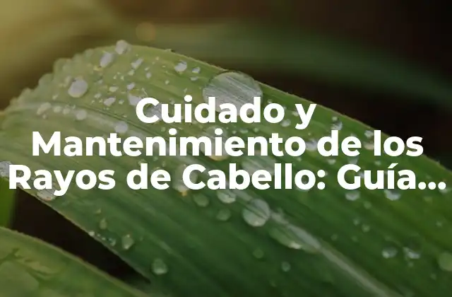Cuidado y Mantenimiento de los Rayos de Cabello: Guía Completa