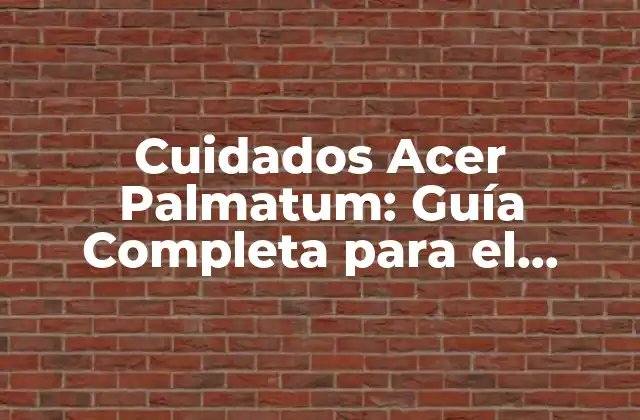 Cuidados Acer Palmatum: Guía Completa para el Cuidado Del Árbol Japonés